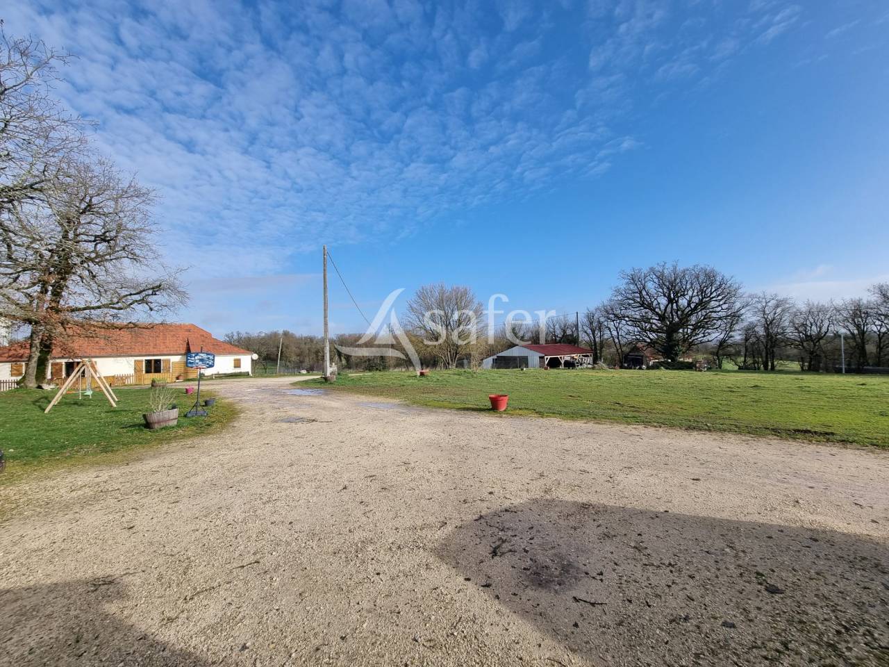 Hog farm / Piggery  Lot