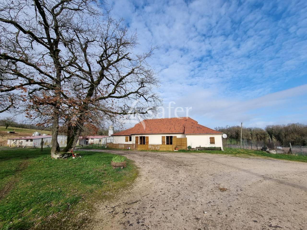 Hog farm / Piggery  Lot