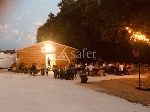 Hog farm / Piggery  Lot