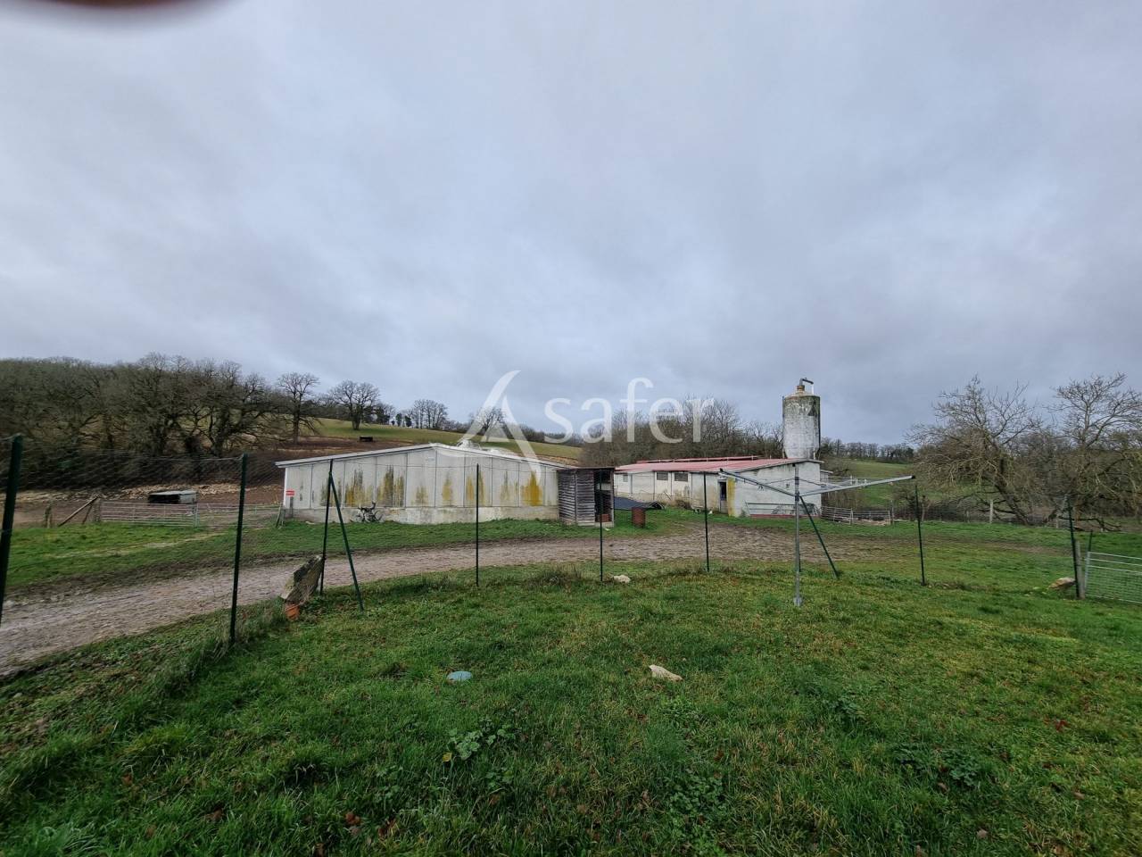 Hog farm / Piggery  Lot