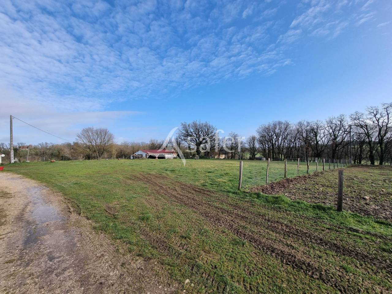 Hog farm / Piggery  Lot