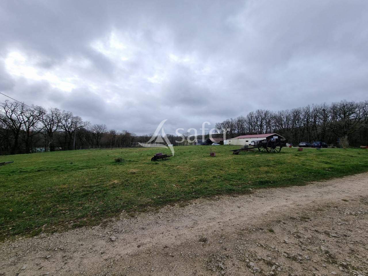 Hog farm / Piggery  Lot