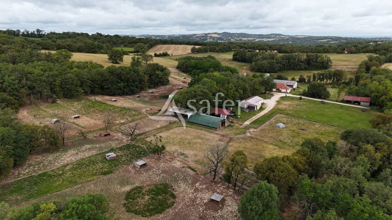 Hog farm / Piggery  Lot