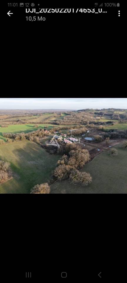 Hog farm / Piggery  Lot