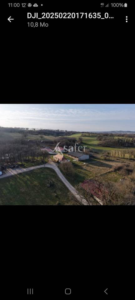 Hog farm / Piggery  Lot