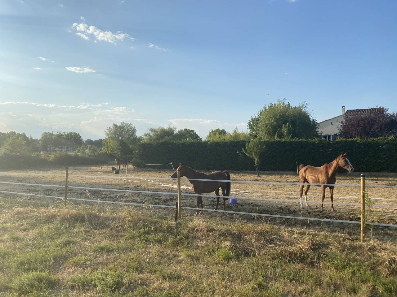 Equestrian property  Gard