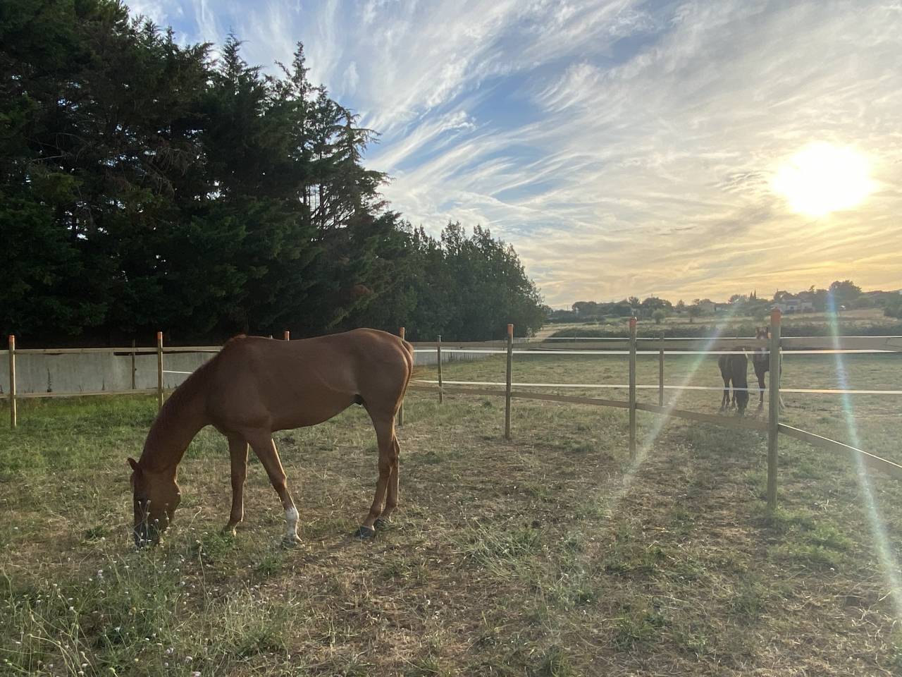 Equestrian property  Gard