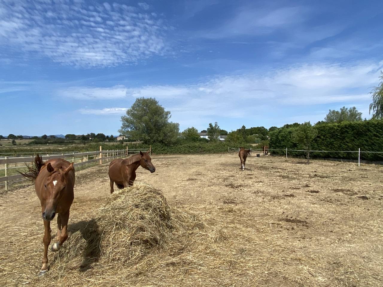 Equestrian property  Gard