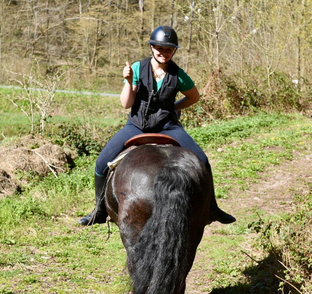 Mare Origin Recorded For sale 2015 Black