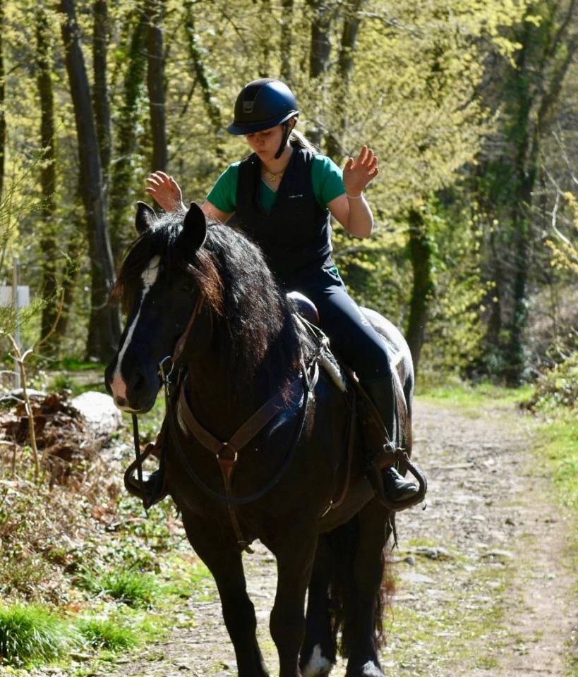 Mare Origin Recorded For sale 2015 Black