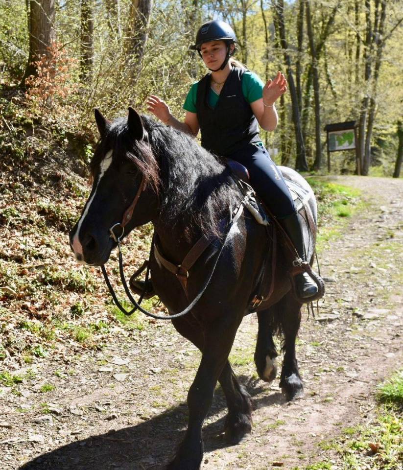 Mare Origin Recorded For sale 2015 Black