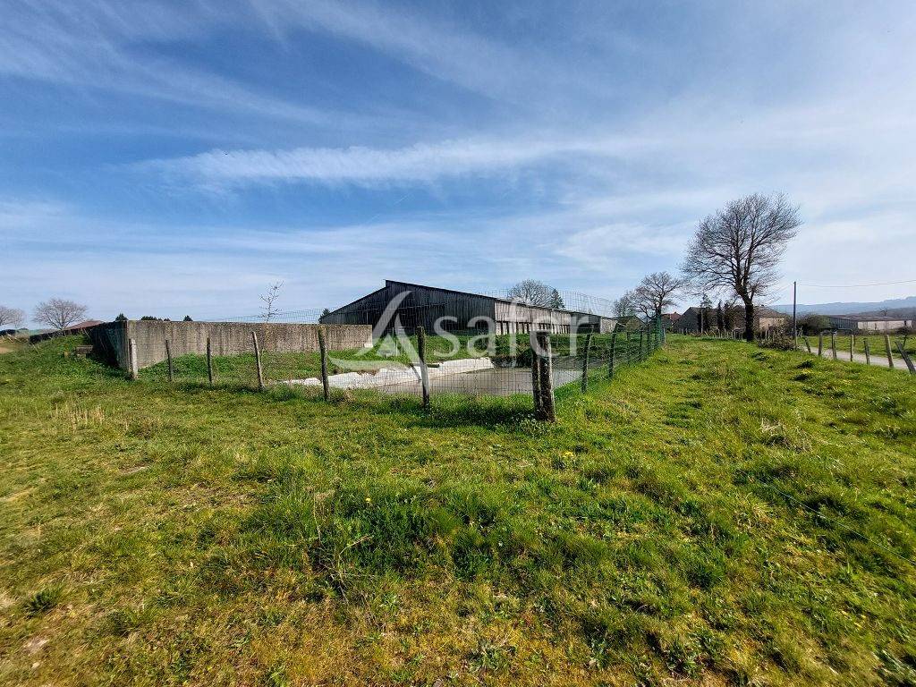 Sheep farm  Haute-Vienne