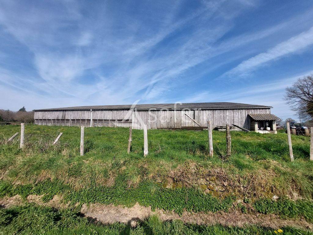 Sheep farm  Haute-Vienne