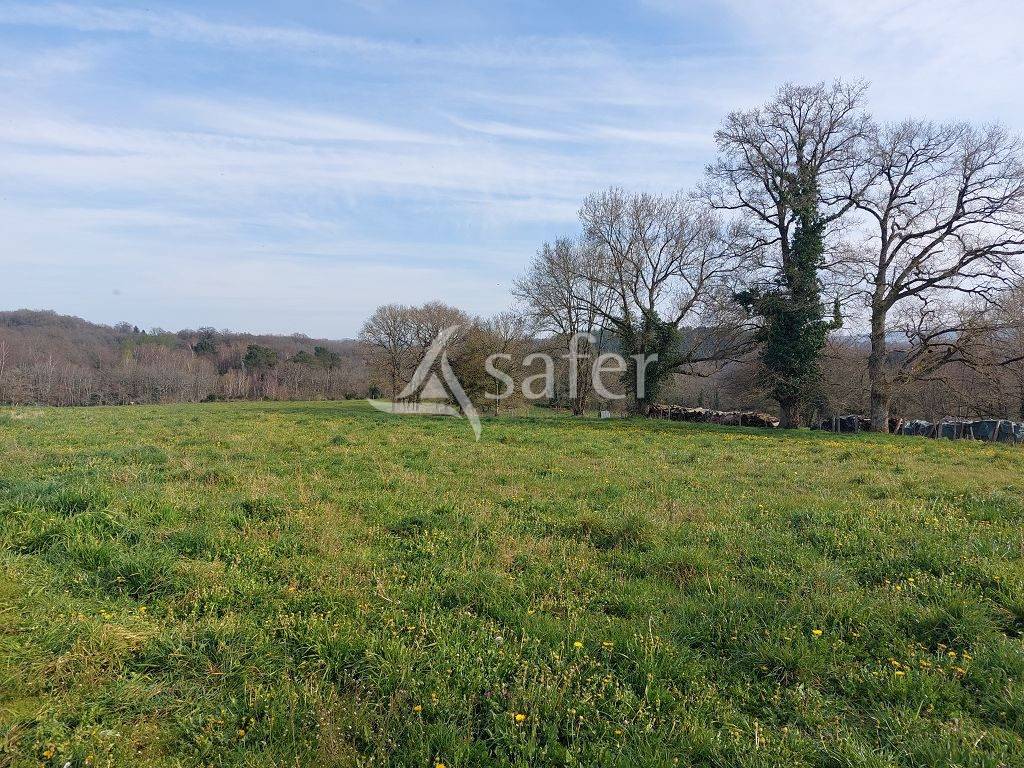 Sheep farm  Haute-Vienne