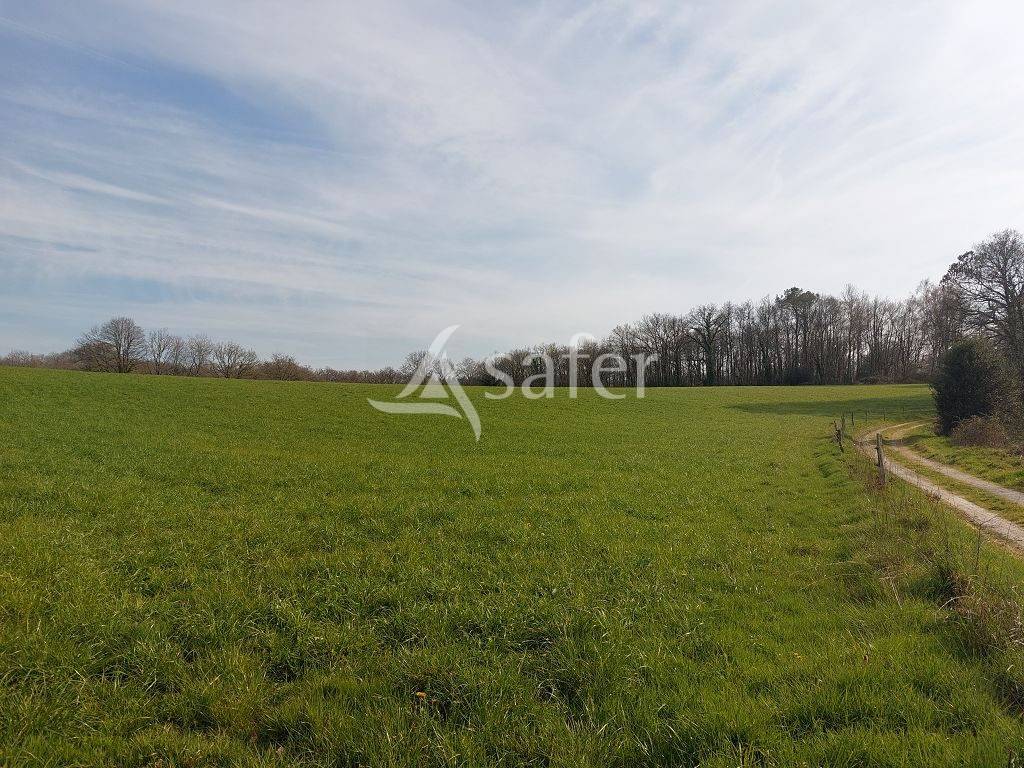 Sheep farm  Haute-Vienne