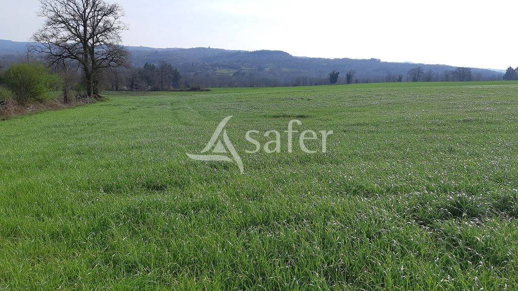 Sheep farm  Haute-Vienne