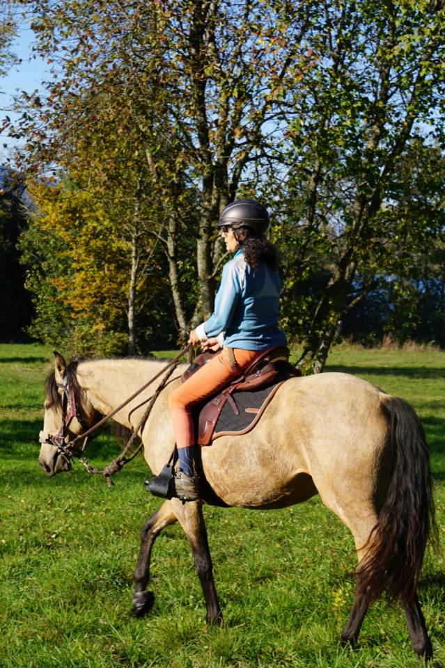 Mare Lusitano For sale 2020 Buckskin