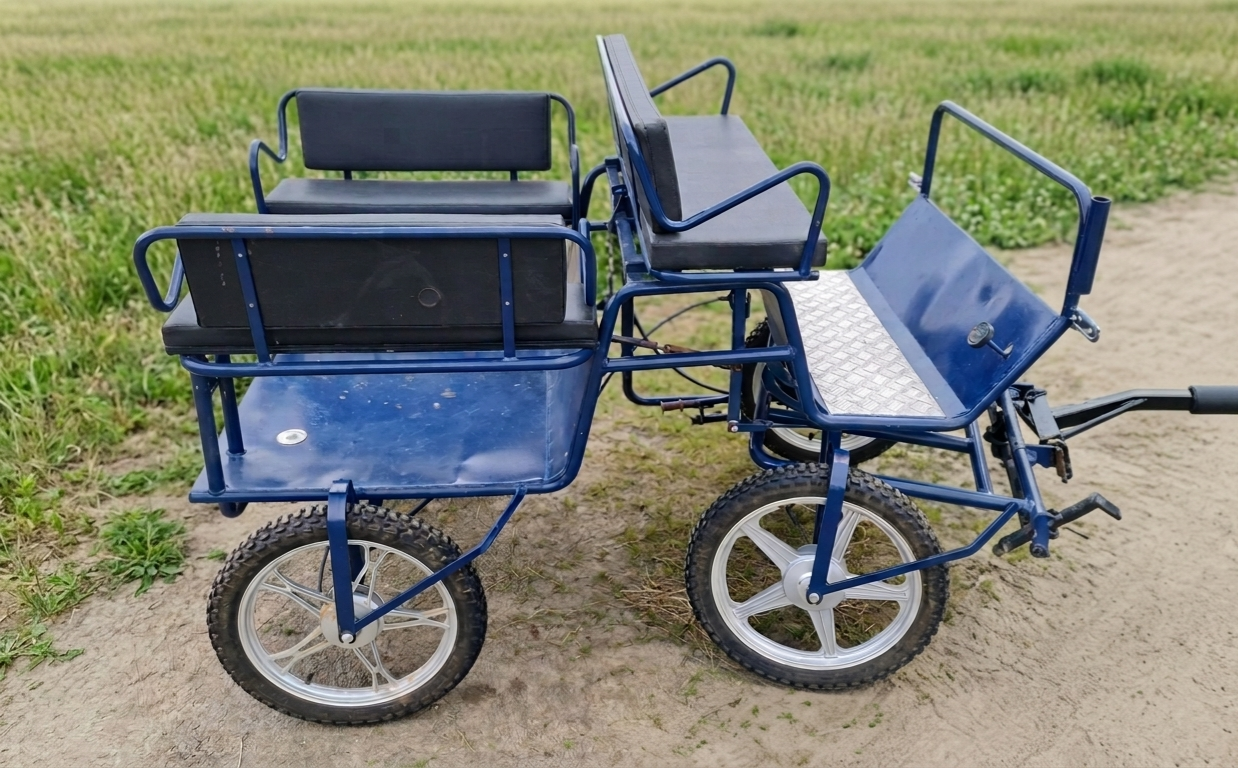 Carriage - Cariole   