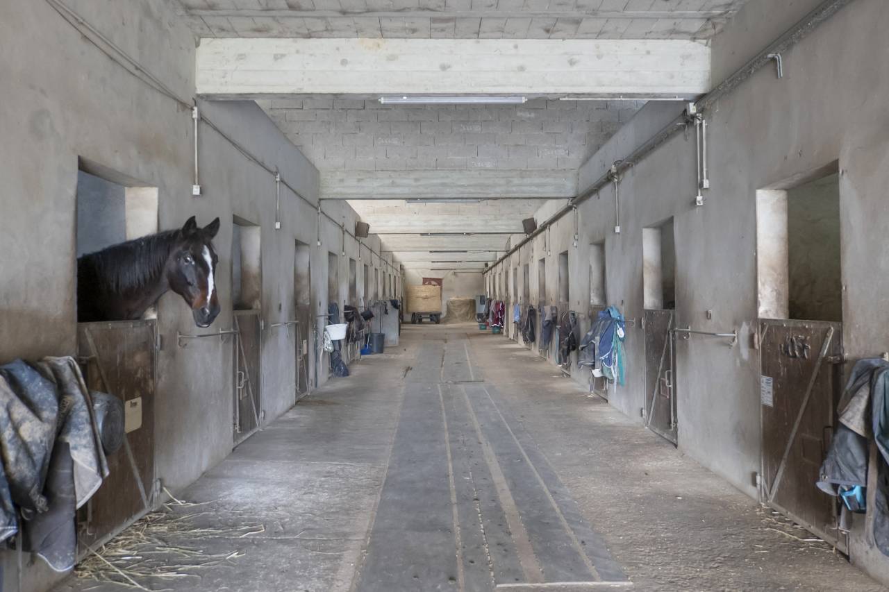 Equestrian property  Seine-et-Marne