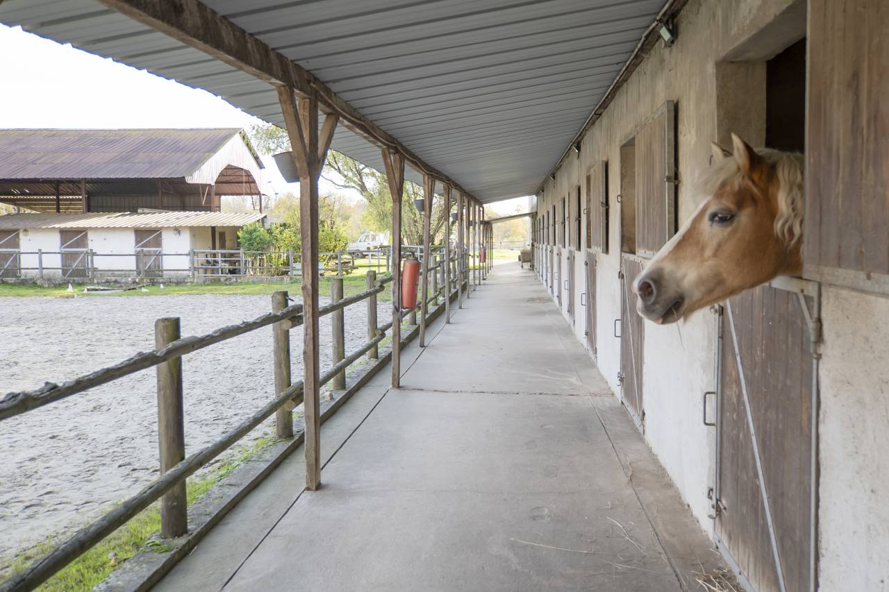 Equestrian property  Seine-et-Marne
