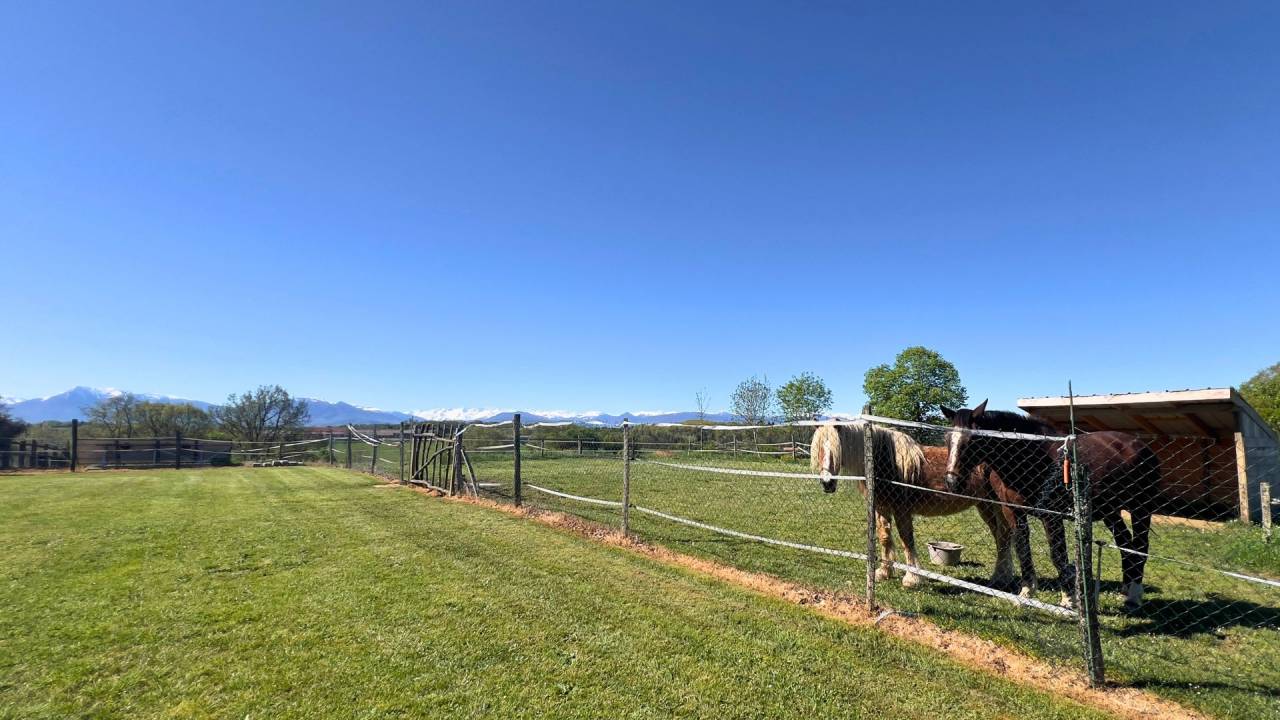 Equestrian property  Haute-Garonne