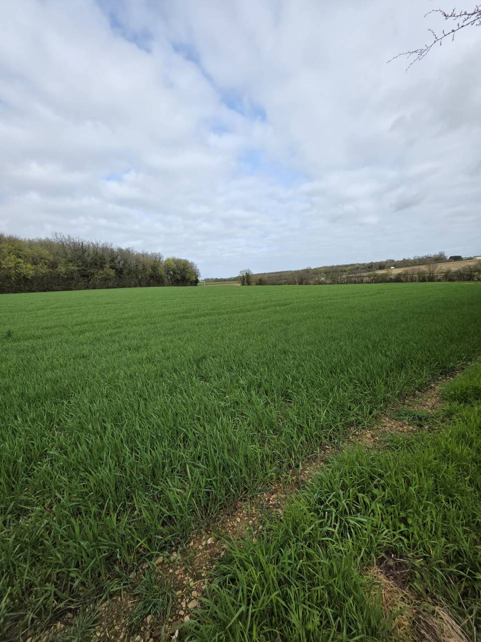 Riding school  Charente-Maritime