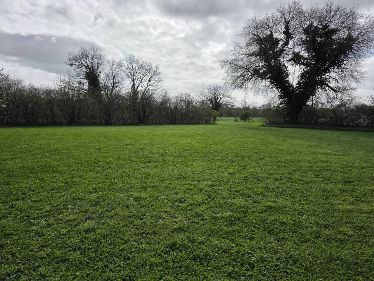 Riding school  Charente-Maritime