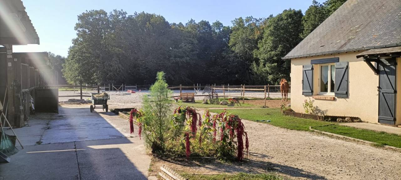 Equestrian Bed and Breakfast  Eure