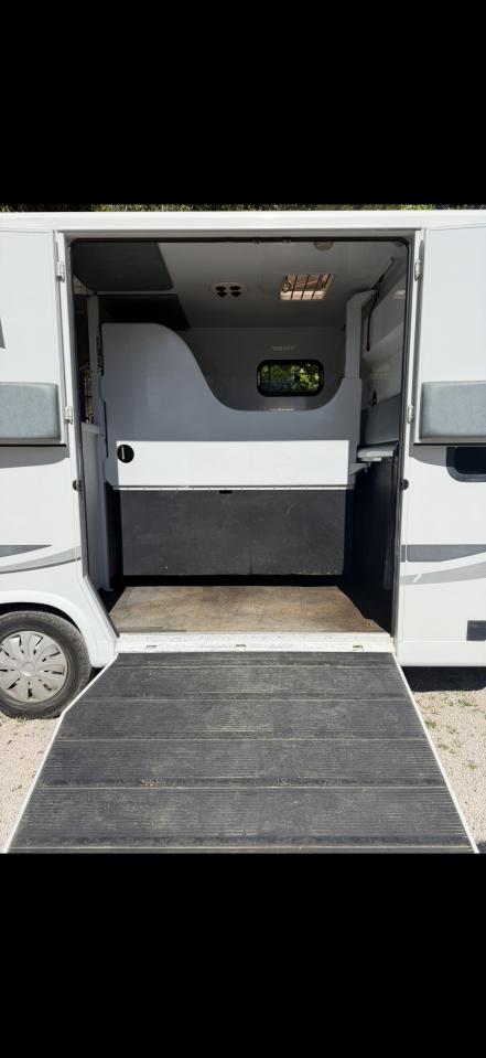 Horsebox HGV MTM  2008 Used