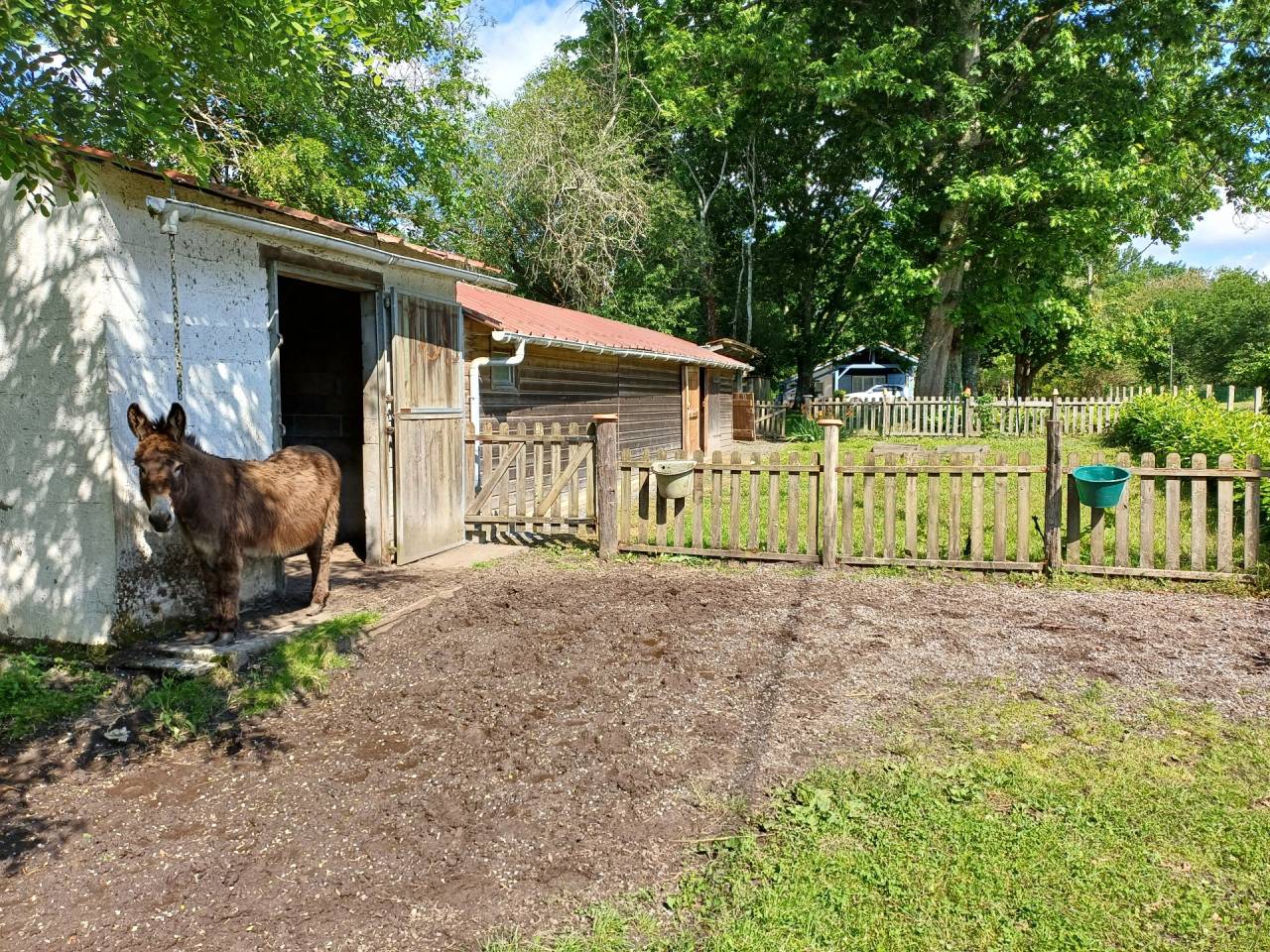 Equestrian property  Landes
