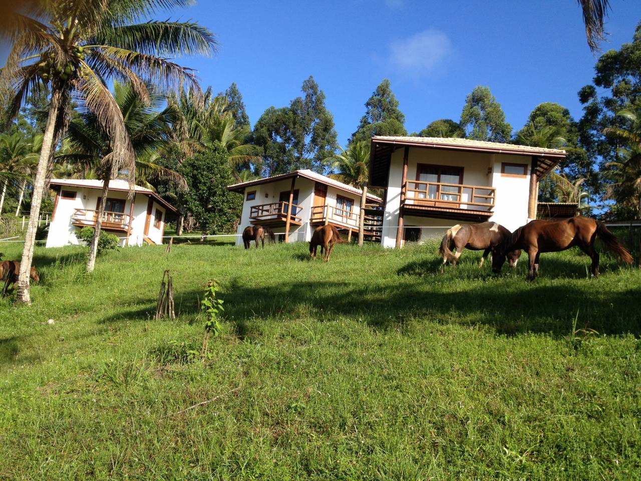 Holiday equestrian property  