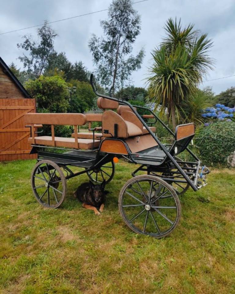Carriage - Wagonnette - Other brand - Equitec 