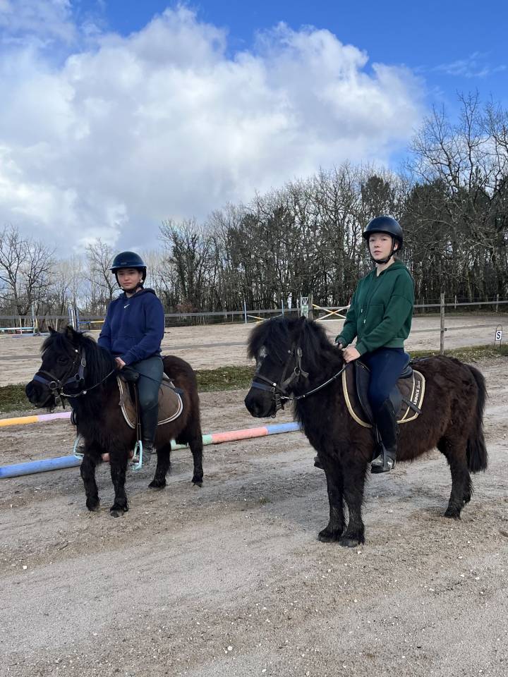 Filly Origin Recorded For sale 2023 Bay