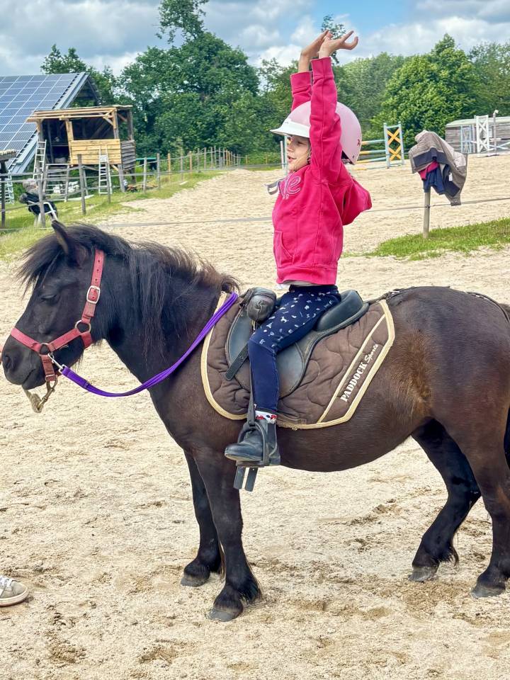 Filly Origin Recorded For sale 2023 Bay