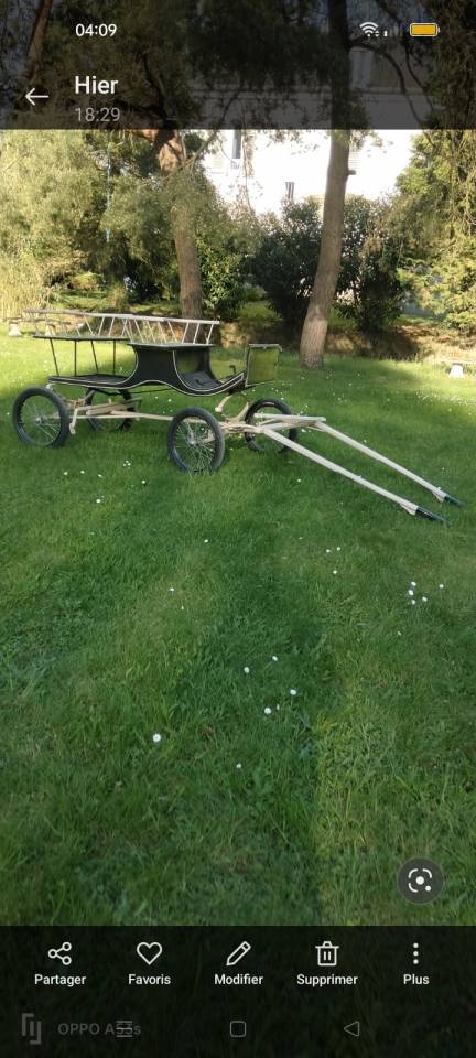 Carriage - Other carriage - Other brand -  