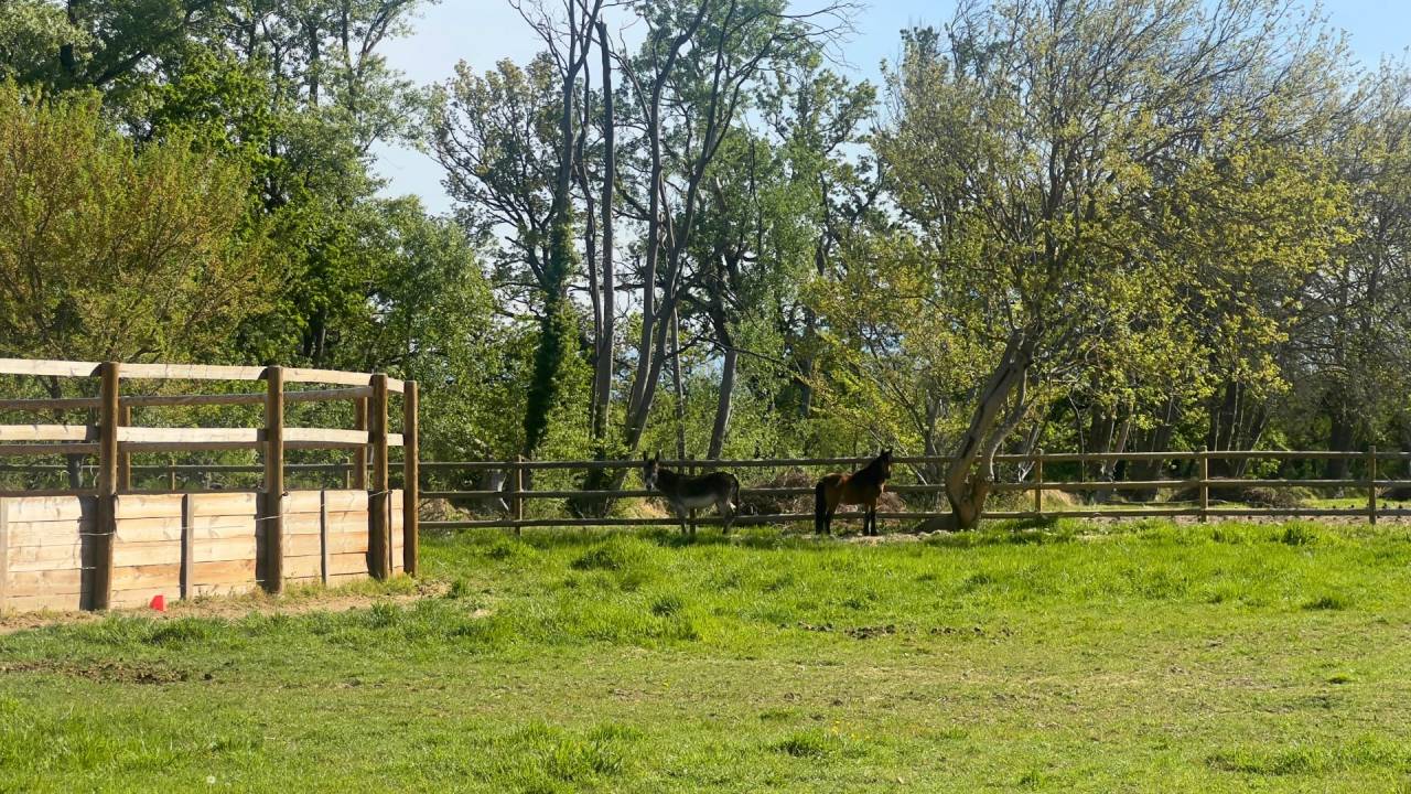 Equestrian property  Vaucluse
