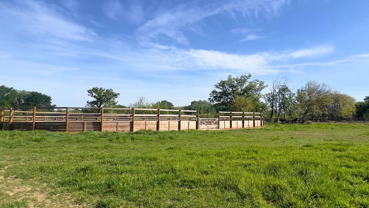 Equestrian property  Vaucluse