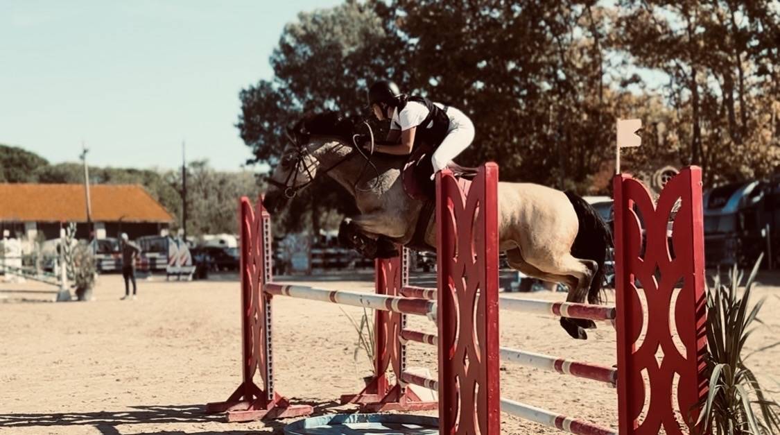 Mare Connemara For sale 2018 Buckskin