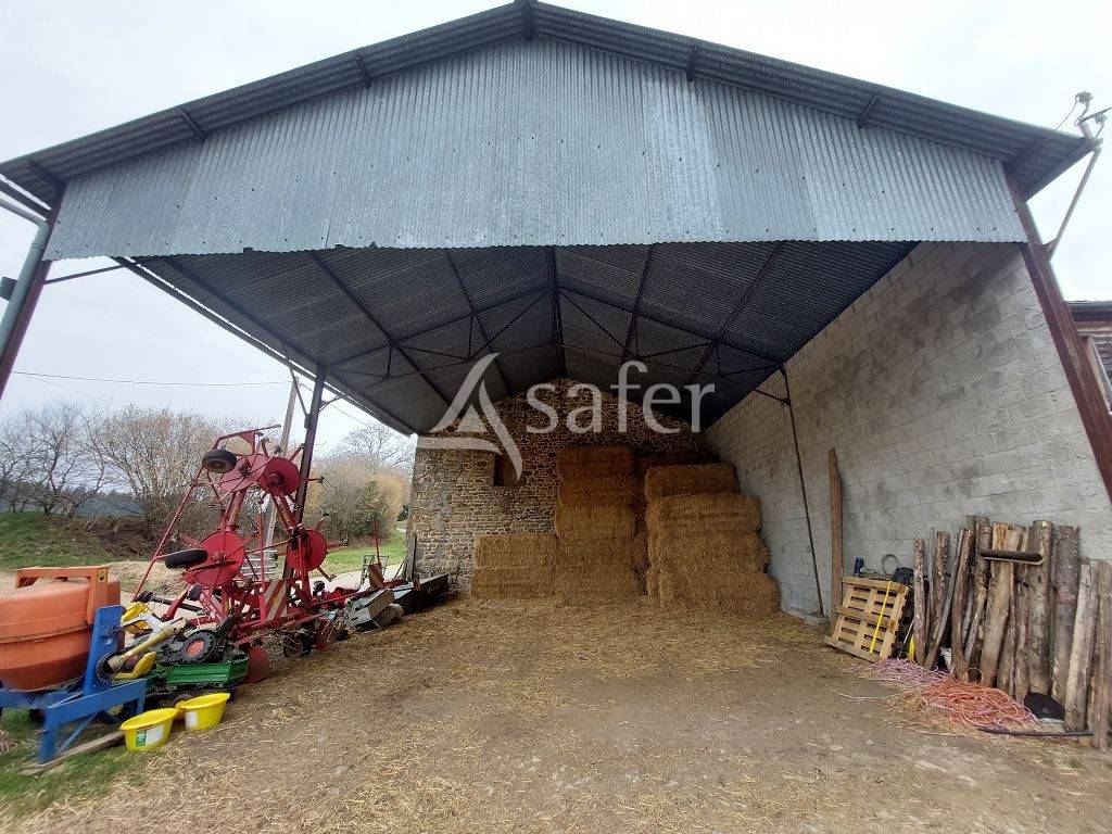 Sheep farm  Creuse