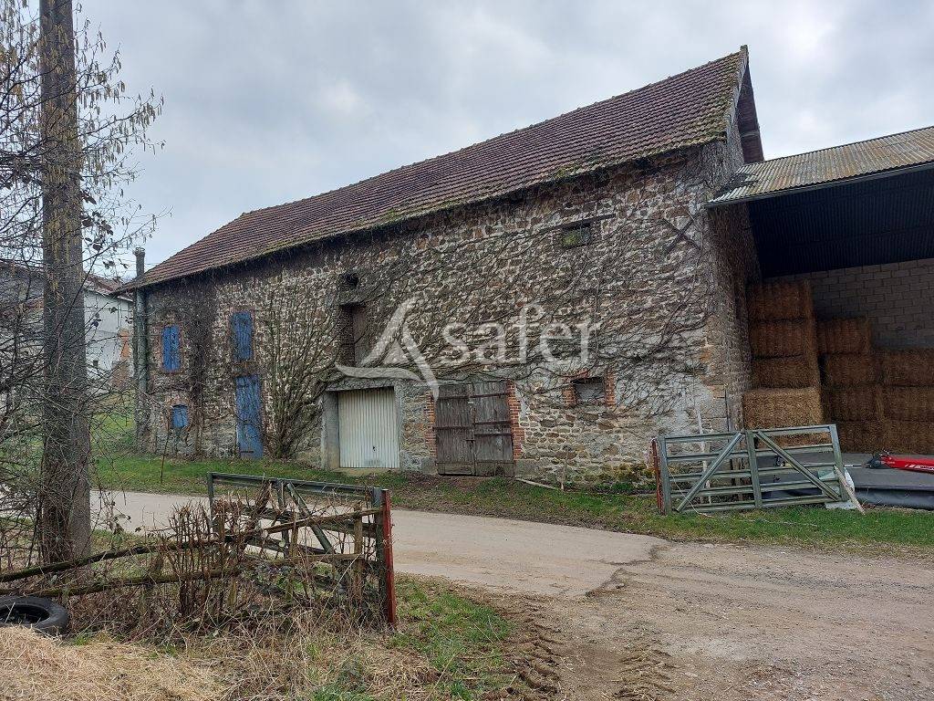Sheep farm  Creuse