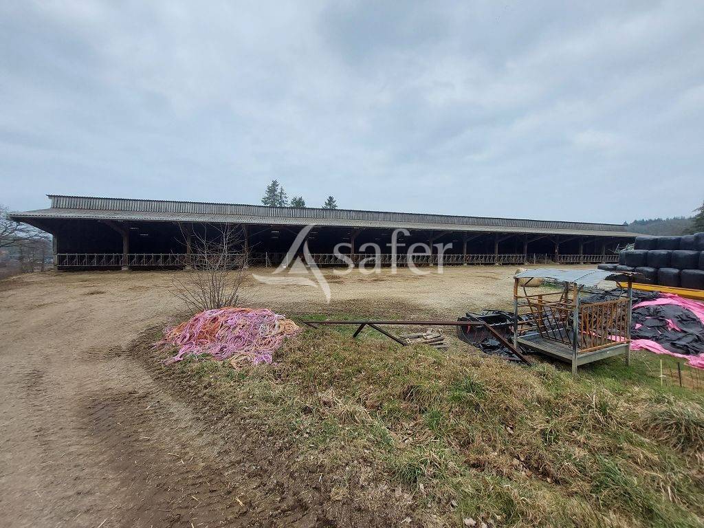 Sheep farm  Creuse