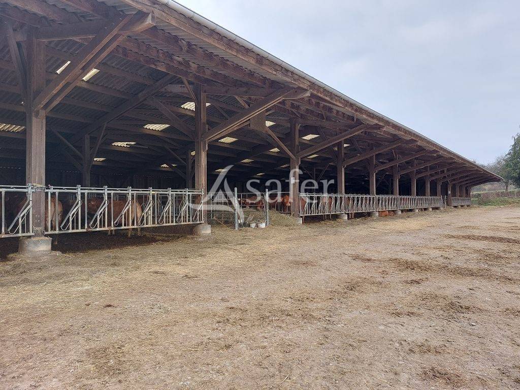 Sheep farm  Creuse
