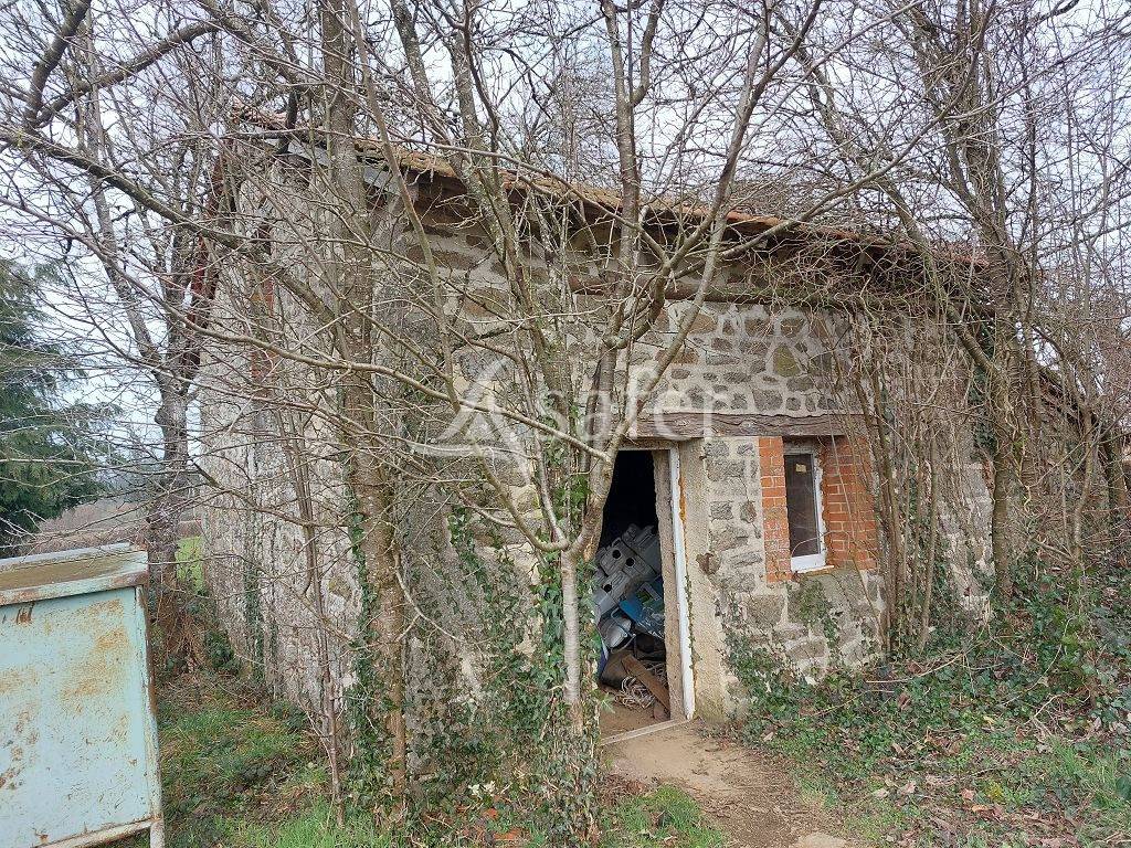 Sheep farm  Creuse