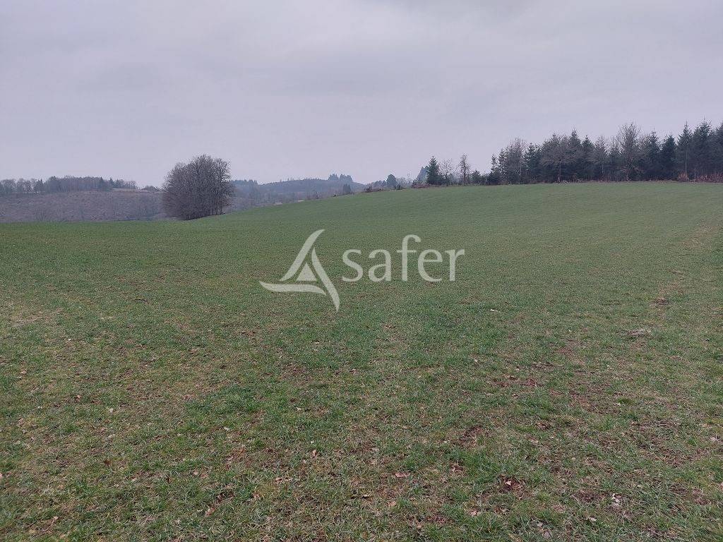 Sheep farm  Creuse