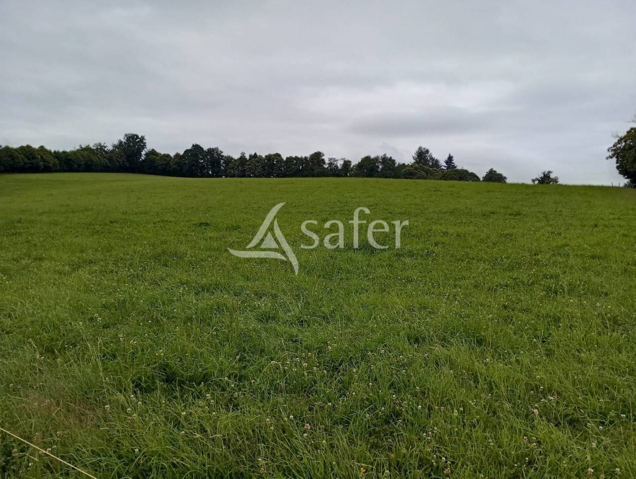 Sheep farm  Creuse