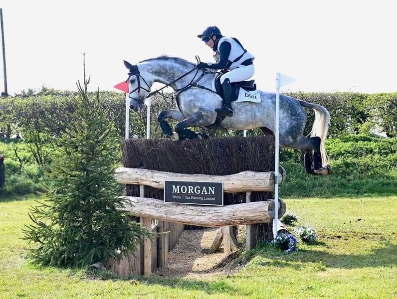 Fein Cera Gravelotte