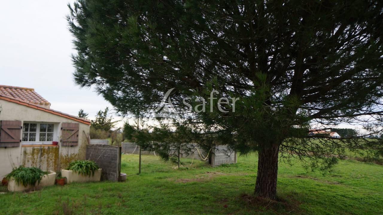 Equestrian property  Vend&eacute;e