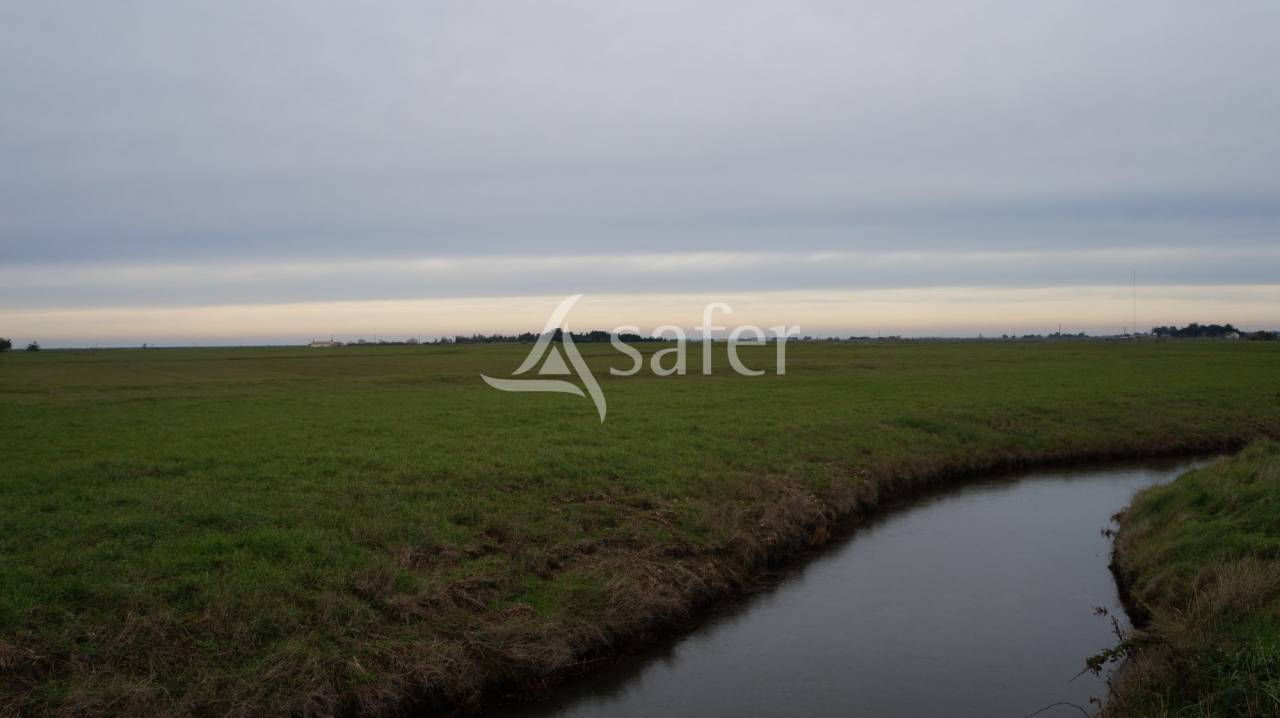 Equestrian property  Vend&eacute;e