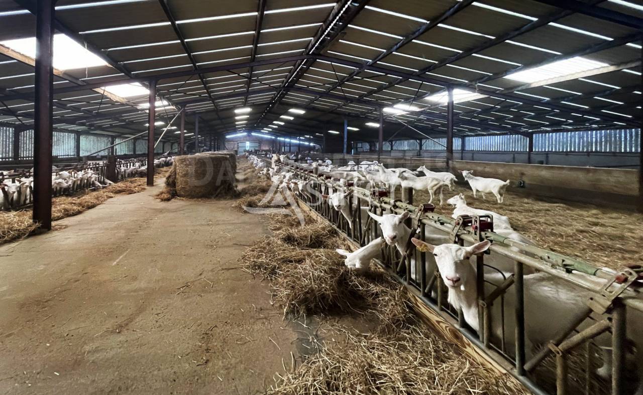 Other agricultural property  Vend&eacute;e
