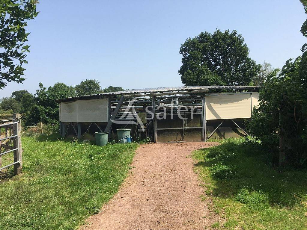 Equestrian property  Calvados